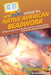 HowExpert Guide to Native American Beadwork: 80 Tips to Learn about the Art and Love of Creating Your Own Native American Beadwork by Howexpert