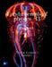 Fundamentals of physics - 13 by Vivek Kumar