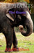 Elephants by Lalith Vithesh