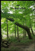 Off the Beaten Path: Cryptoid Monster Adventure Hunting Book by Melody Seelye