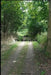 Off the Beaten Path: Cryptoid Monster Adventure Hunting Book by Melody Seelye