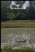 Off the Beaten Path: Cryptoid Monster Adventure Hunting Book by Melody Seelye