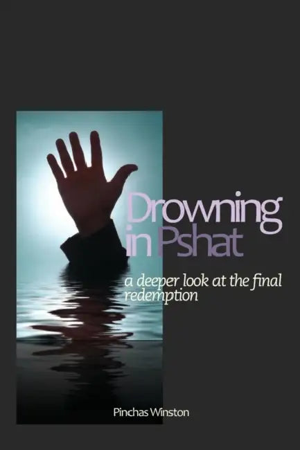 Drowning In Pshat: A Deeper Look At The Final Redemption by Pinchas Winston