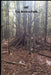 Off the Beaten Path: Cryptoid Monster Adventure Hunting Book by Melody Seelye