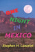 One Night In Mexico by Stephen H. Lancelot