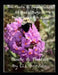 The Facts & Importance Of Bees, Bugs & Butterflies for Kids by Liz Borden