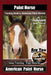 Paint Horse Training Book for American Paint Horses By Saddle UP Horse Training, Are You Ready to Saddle Up? Easy Training * Fast Results, American Pa by Kelly O. Callahan