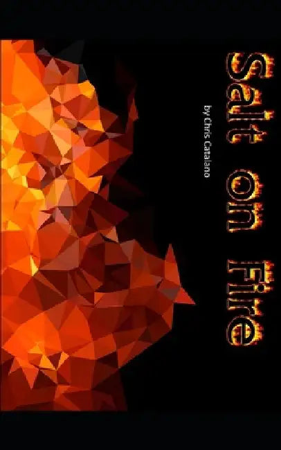 Salt on Fire by Christopher David Catalano