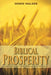 Biblical Prosperity by Derek Walker