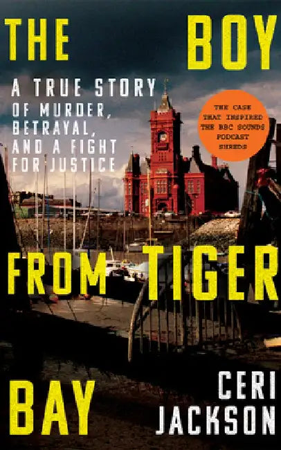 The Boy from Tiger Bay by Ceri Jackson