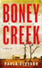 Boney Creek by Paula Gleeson