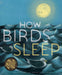 How Birds Sleep by David Obuchowski