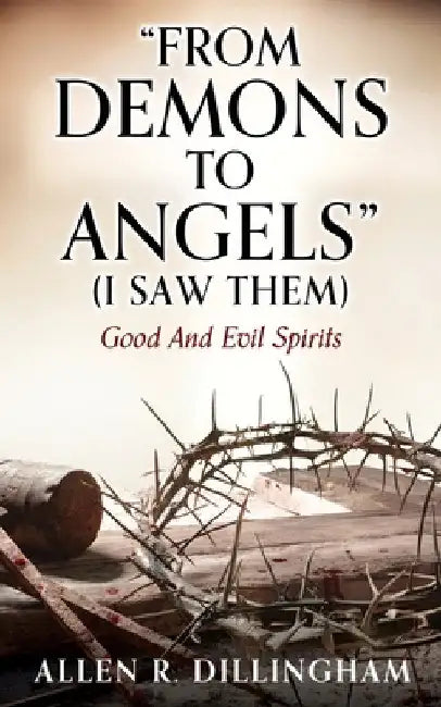 "FROM DEMONS TO ANGELS" (I Saw Them): Good And Evil Spirits by Allen R. Dillingham