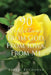 90 Reflections From God, From Iowa, From Me by Ashley Buchanan
