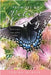 Promises on Velvet Wings: Poems of Faith, Family, Friends, and Fun by McAfee, Regina