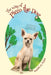 The Way of Piezo the Dog: Or How to Outlive Your Heartworms! by Rachel M. Fisher