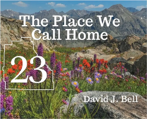 23: The Place We Call Home by Bell, Dave