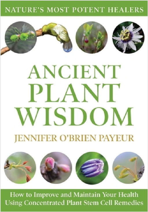 Ancient Plant Wisdom: How to Improve and Maintain Your Health Using Concentrated Plant Stem Cell Remedies by Jennifer O'Brien Payeur