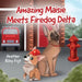 Amazing Maisie Meets Firedog Delta by Heather Riley Fojt