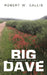 Big Dave: The Summer of 1941 by Robert W. Callis