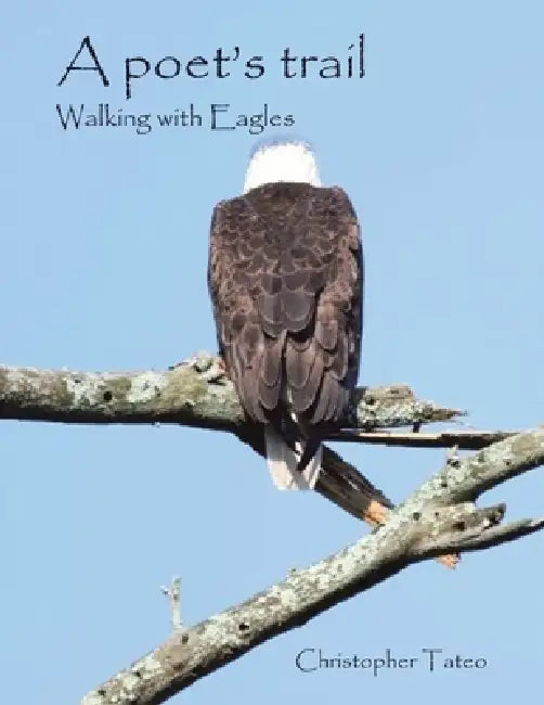 A poet's trail: Walking with Eagles by Christopher Tateo