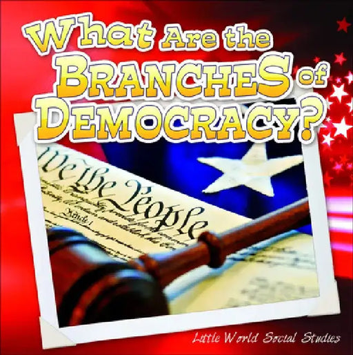 What Are the Branches of Government?
