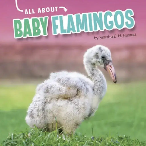 All about Baby Flamingos by Martha E. H. Rustad