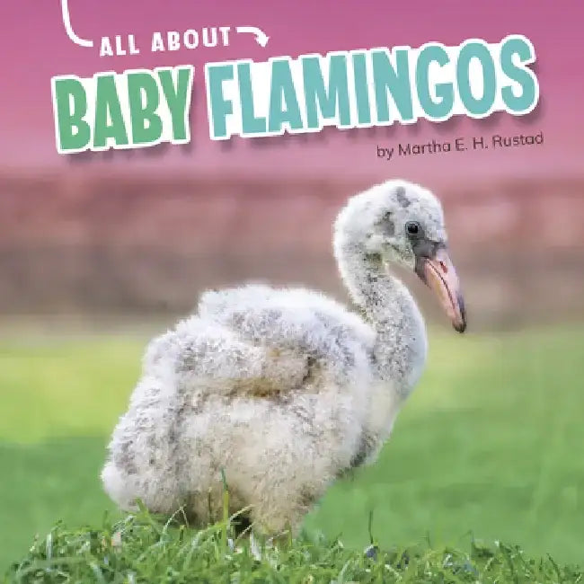 All about Baby Flamingos by Martha E. H. Rustad