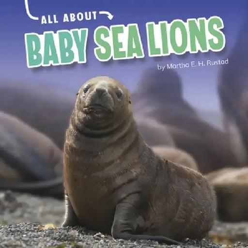All about Baby Sea Lions by Martha E. H. Rustad