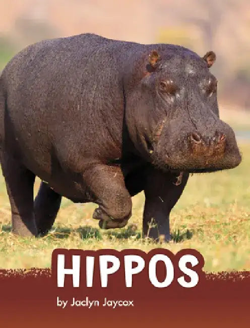 Hippos by Jaclyn Jaycox