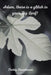 Adam, There Is a Glitch in Your Fig Leaf! by Teddy Donobauer