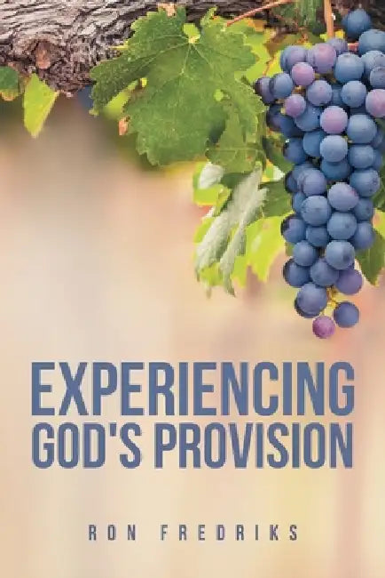 Experiencing God's Provision by Ron Fredriks