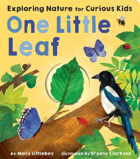 One Little Leaf: Exploring Nature for Curious Kids by Molly Littleboy