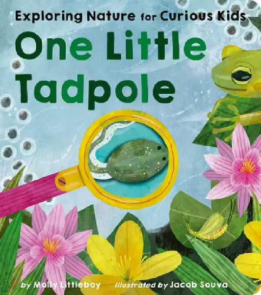 One Little Tadpole: Exploring Nature for Curious Kids by Molly Littleboy