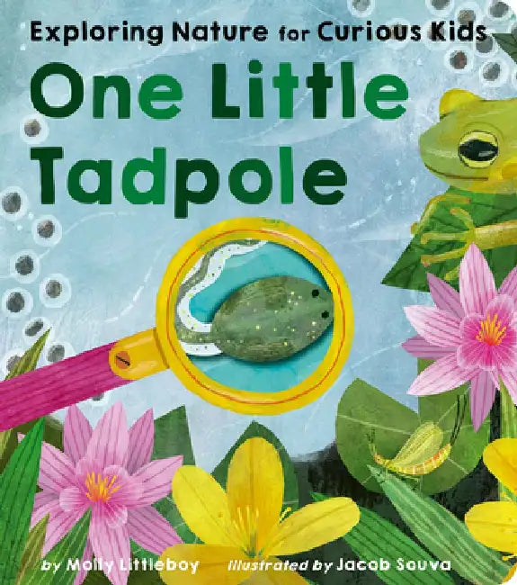One Little Tadpole: Exploring Nature for Curious Kids by Molly Littleboy