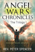 Angel Wars Chronicles: the Trilogy: Burning Blade Volume 1 by Peter Spencer