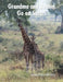 Grandma and Rachel Go on Safari by Linda Dillon Dejong