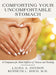 Comforting Your Uncomfortable Stomach: A Companion for Silent Sufferers of Nausea and Vomiting by Laura A. Dotson, Kenneth L. Koch