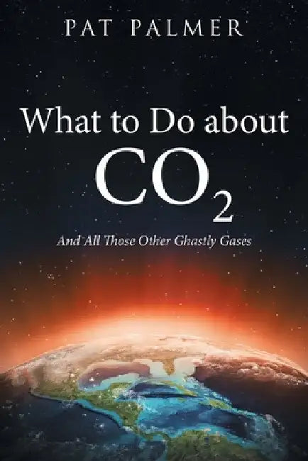 What to Do About Co2: And All Those Other Ghastly Gases by Pat Palmer