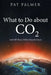 What to Do About Co2: And All Those Other Ghastly Gases by Pat Palmer