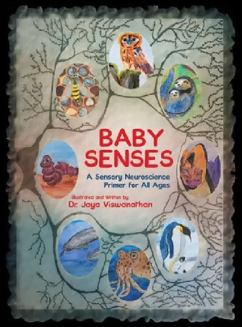 Baby Senses: A Sensory Neuroscience Primer for All Ages by Jaya Viswanathan