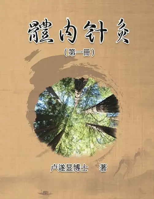 體內針灸（第一冊）: Internal Acupuncture (Volume 1) by Shui Yin Lo