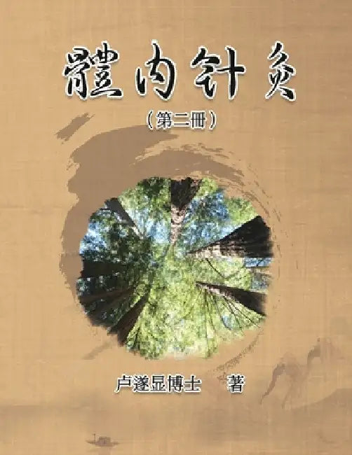 體內針灸（第二冊）: Internal Acupuncture (Volume 2) by Shui Yin Lo