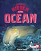 Animals Hidden in the Ocean by Jessica Rusick