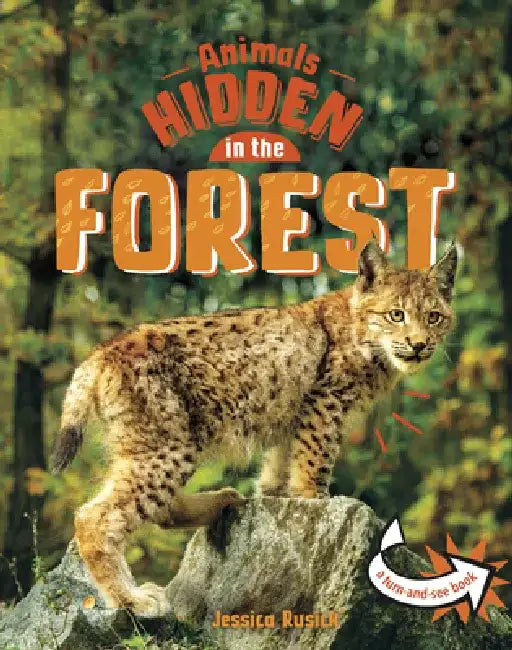 Animals Hidden in the Forest by Jessica Rusick