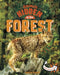 Animals Hidden in the Forest by Jessica Rusick