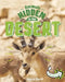 Animals Hidden in the Desert by Jessica Rusick
