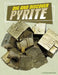 Dig and Discover Pyrite by Nancy Dickmann