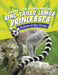 Ring-Tailed Lemur Princesses: Rulers of the Troop by Jaclyn Jaycox