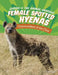 Female Spotted Hyenas: Commanders of the Clan by Jaclyn Jaycox